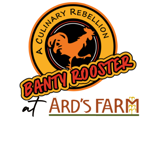 Banty Rooster